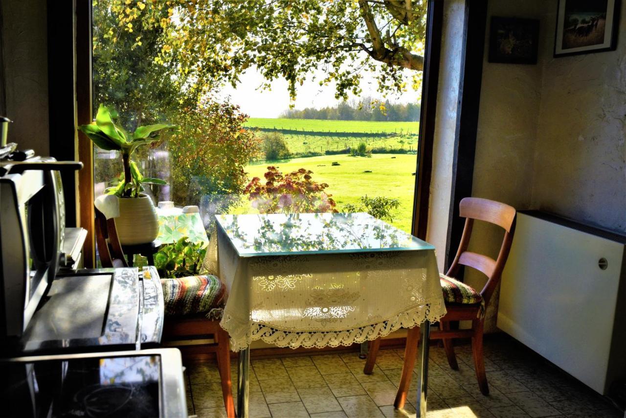 Maison Jeanny, Full House With Big Garden Frasnes-lez-Anvaing Exterior photo
