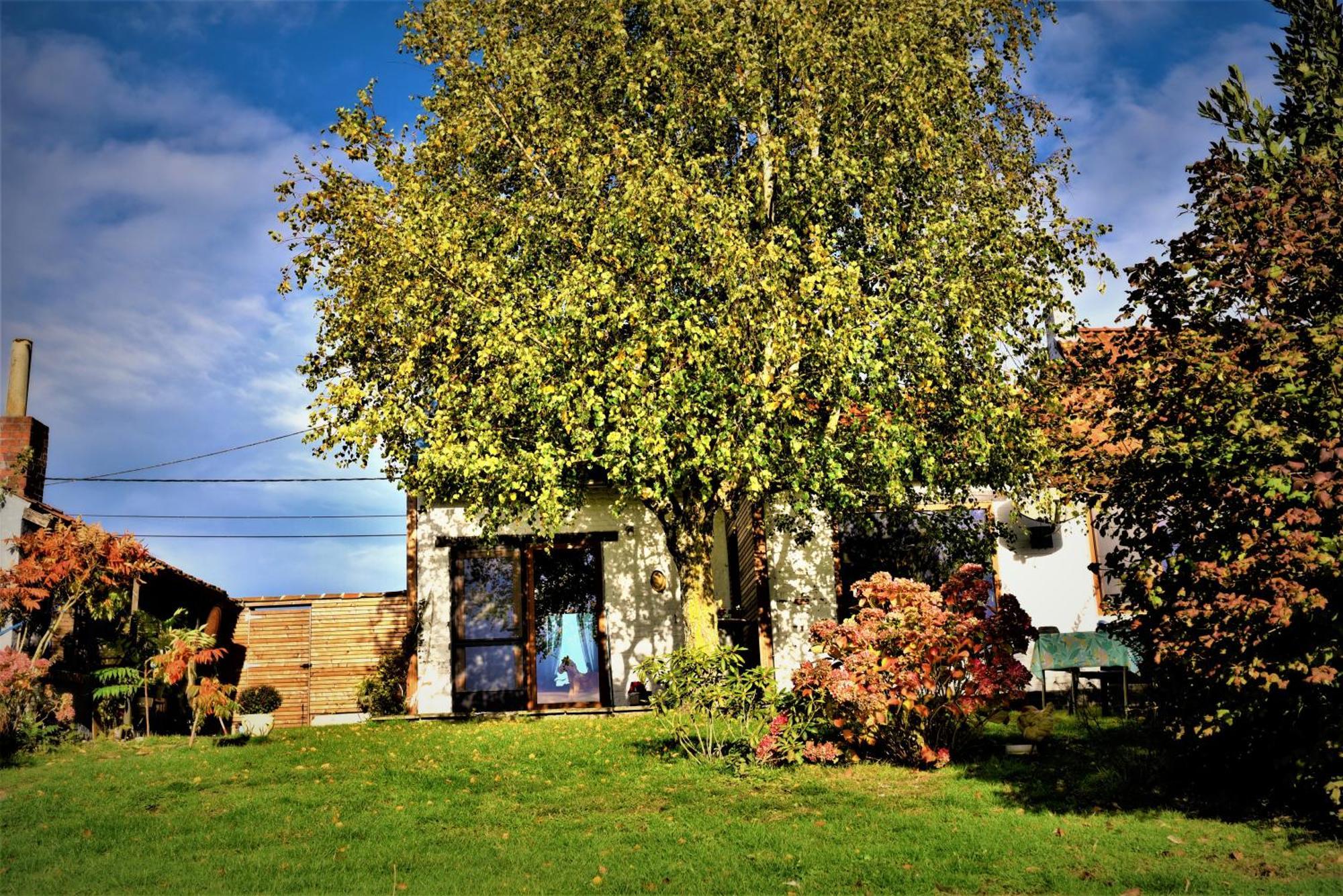 Maison Jeanny, Full House With Big Garden Frasnes-lez-Anvaing Exterior photo